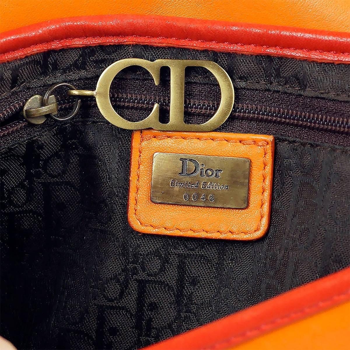 Christian Dior Limited Edition Saddle Shoulder Bag 4