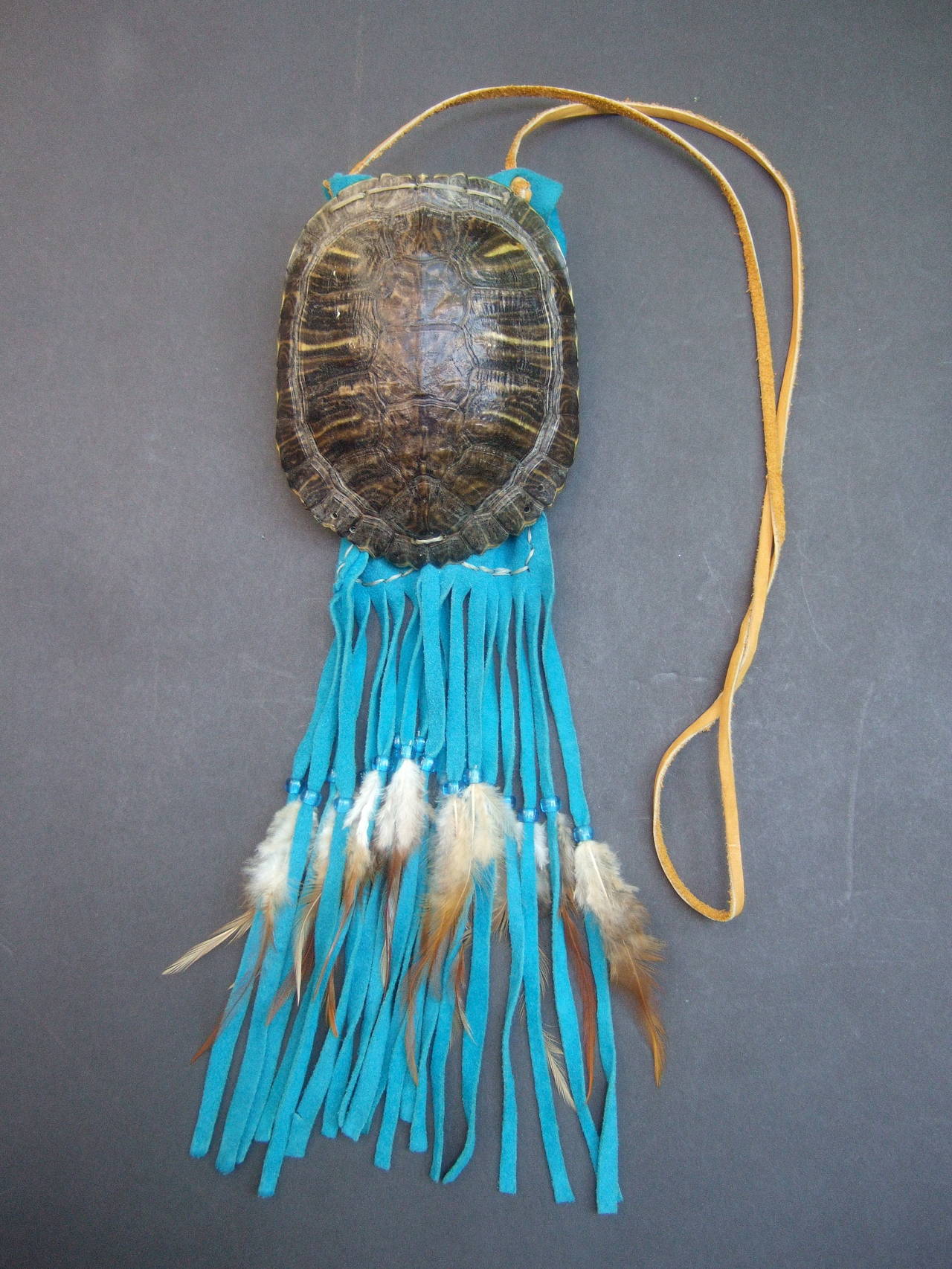 turtle shell bag