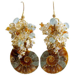 Ammonite Aquamarine Spessartite Garnet Citrine Zircon Cluster Earrings