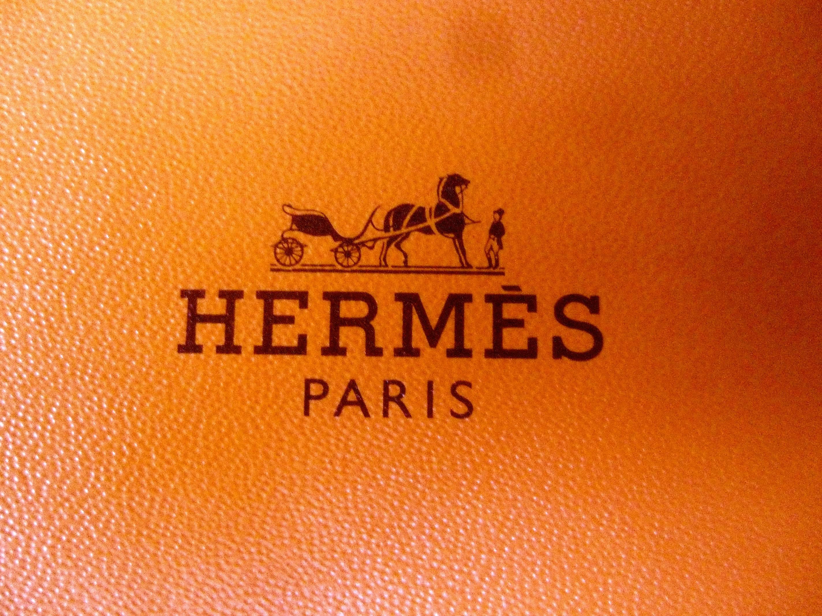 Hermes Paris Whimsical Sea Life Green Silk Necktie in Hermes Box  3