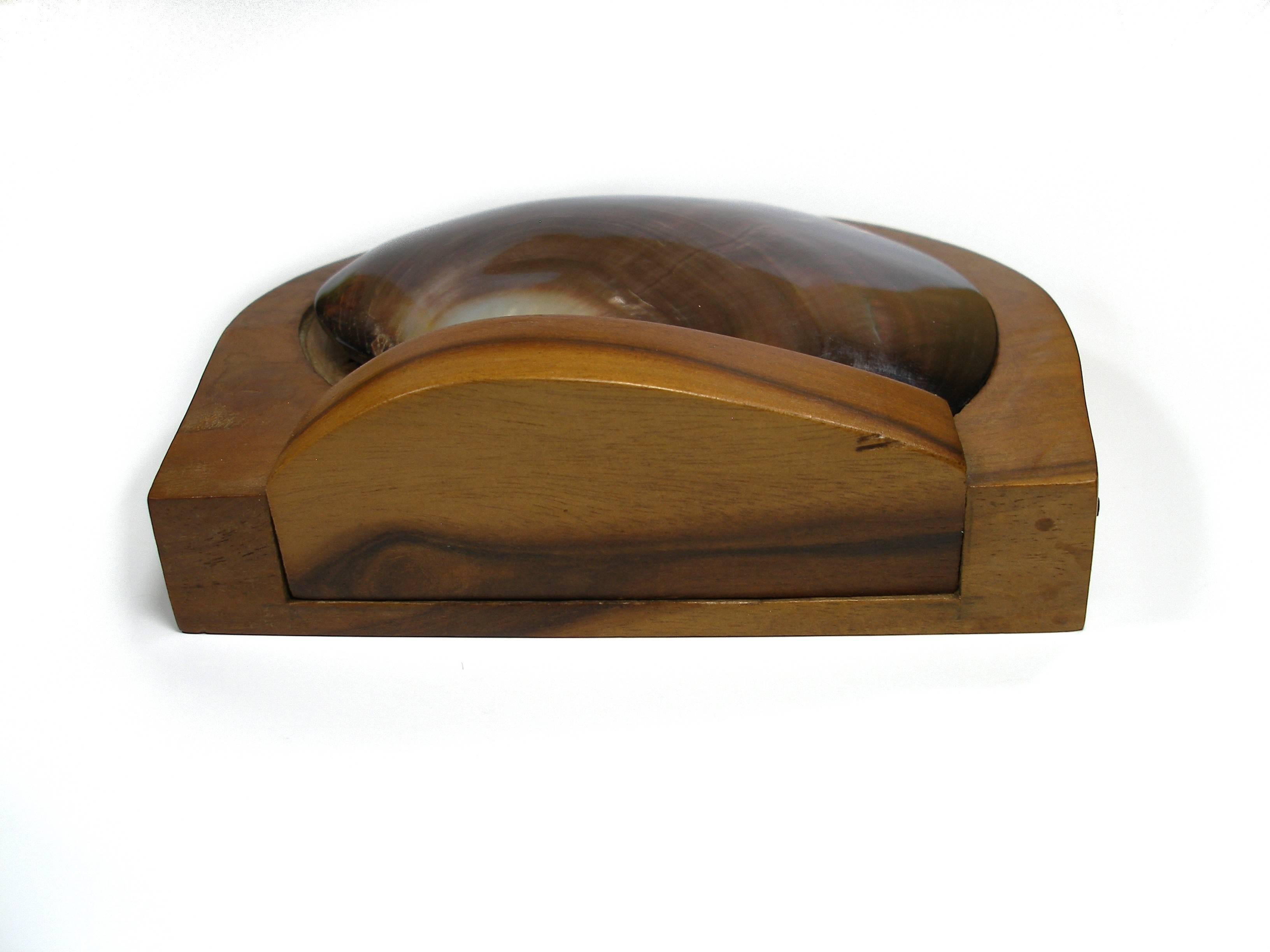 MA-GNI-FIC Wood Box and a Shell Lid Attributed to Alexandre Noll /  NO SIGNED  In Excellent Condition In VERGT, FR