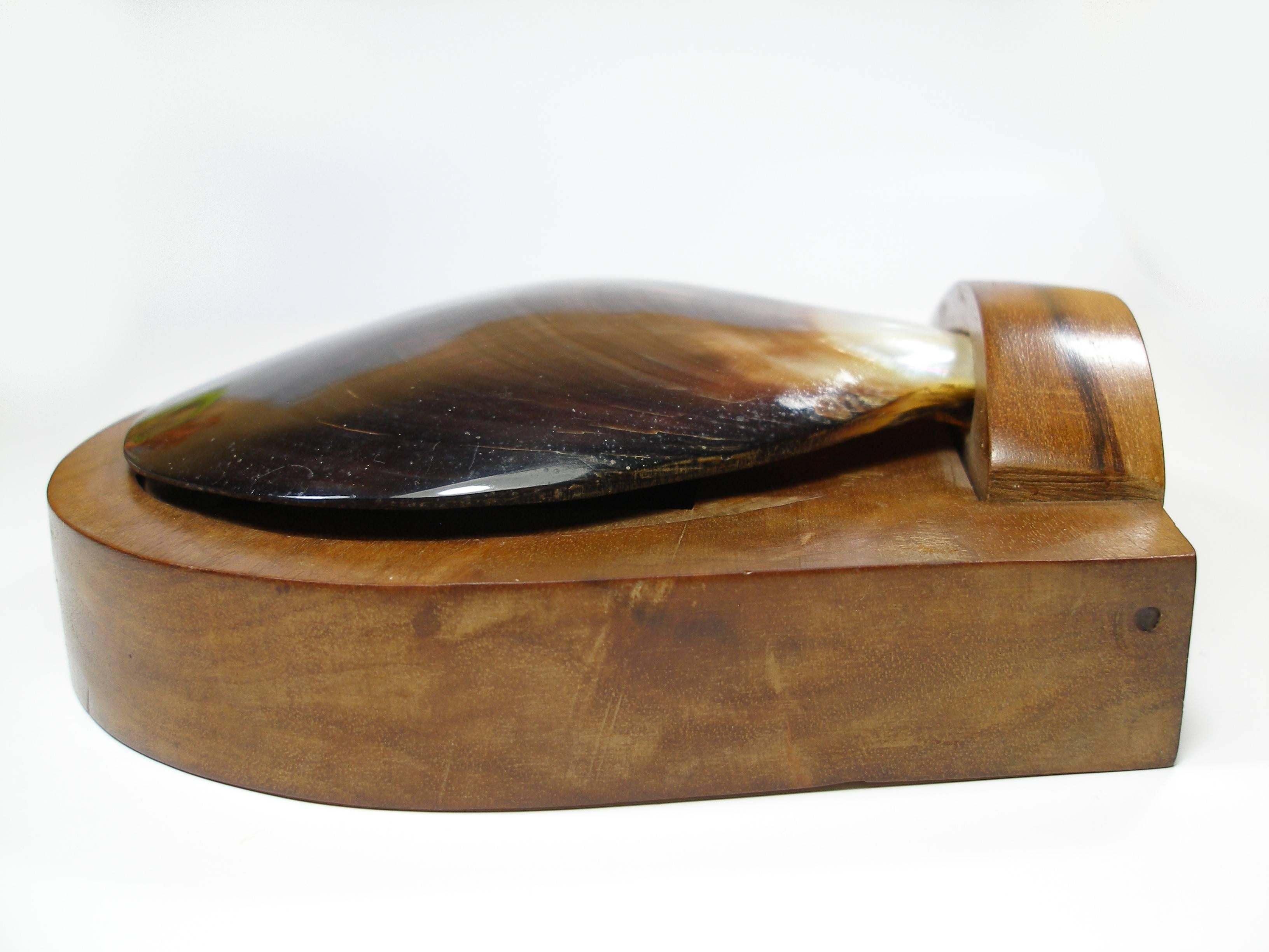 Women's or Men's MA-GNI-FIC Wood Box and a Shell Lid Attributed to Alexandre Noll /  NO SIGNED 