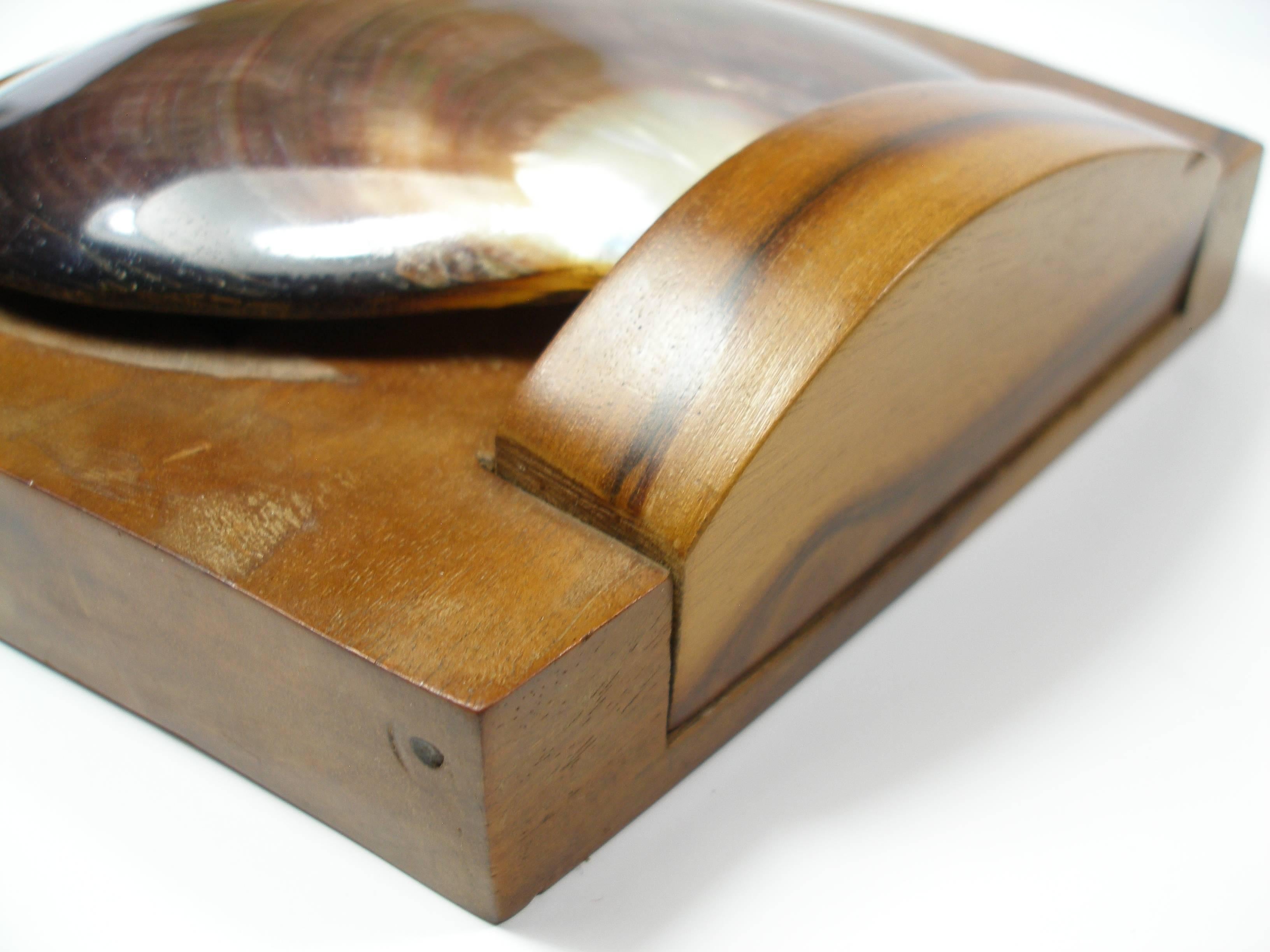 MA-GNI-FIC Wood Box and a Shell Lid Attributed to Alexandre Noll /  NO SIGNED  4