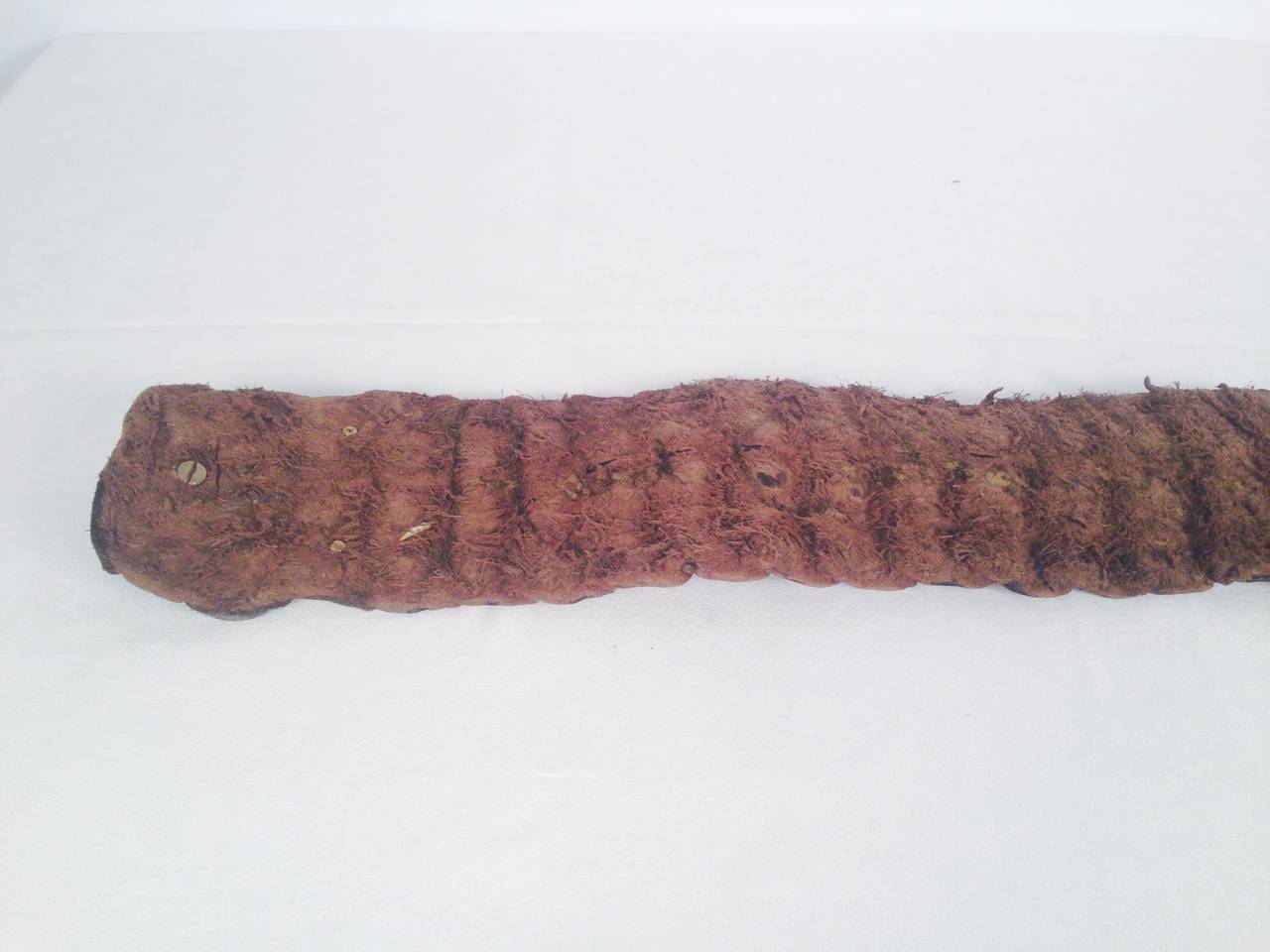 Women's Massimiliano Musina Nile Crocodile Belt