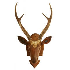 19th Century French Polychrome Deer Head