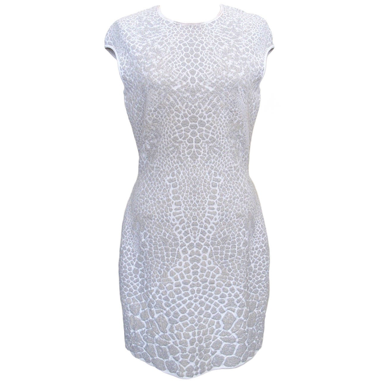 New Alexander McQueen Snow Cheetah Dress For Sale