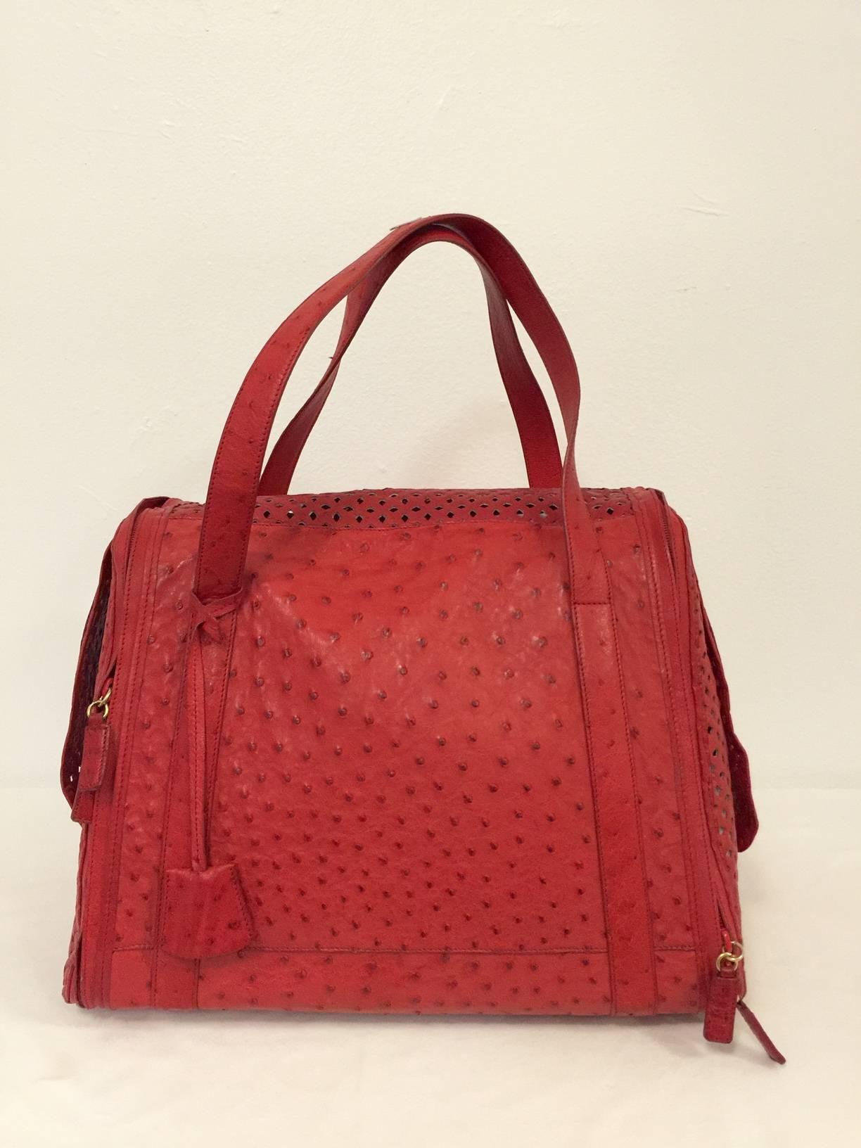 Gorgeous Giorgio's Red Ostrich Carrier is the ultimate in caring for beloved pets when traveling!  Expertly crafted from the world's most luxurious ostrich, carrier has double handles and one external flap pocket with squeeze lock closure.  Both