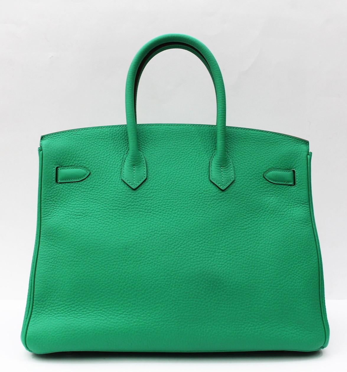 hermes birkin mint green