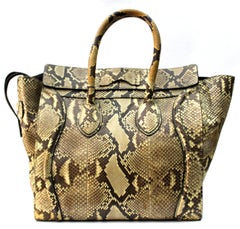 Cèline Luxury Luggage Bag