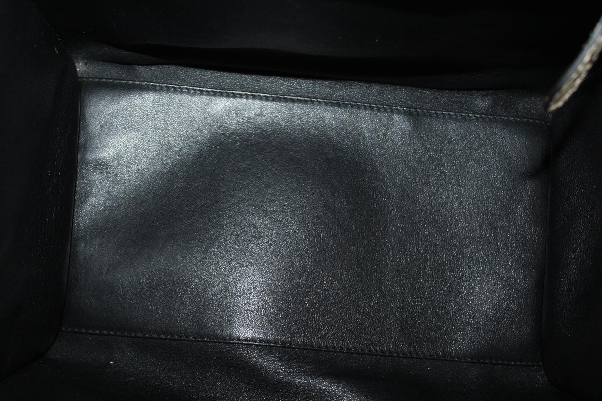 Cèline Luxury Luggage Bag 1