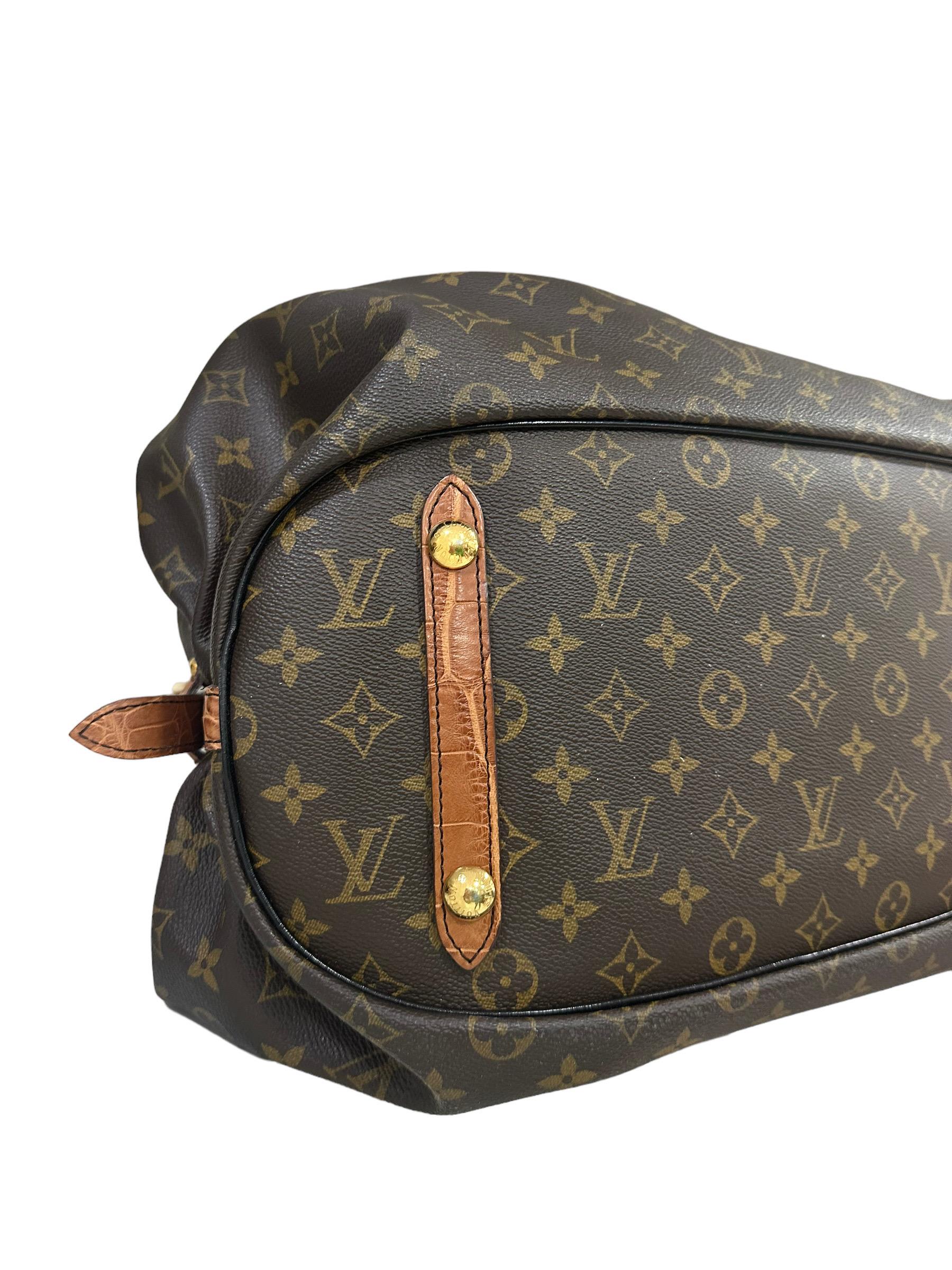 2009 Louis Vuitton Surya Monogram Hobo Bag Leather Limited Edition  7