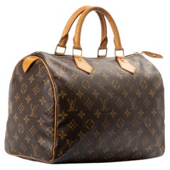 Louis Vuitton Speedy 30 Monogram