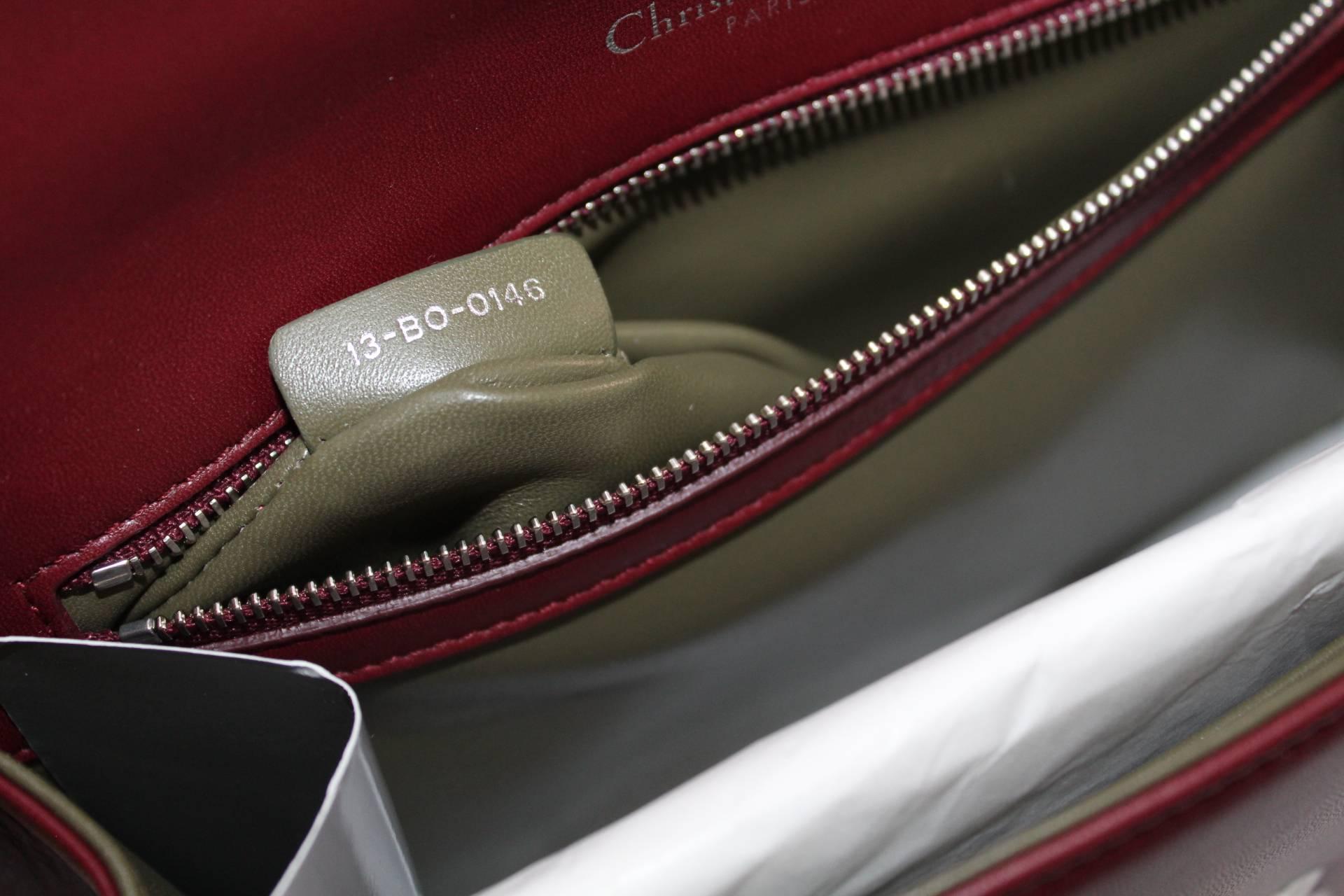 Christian Dior Diorama Bag  1
