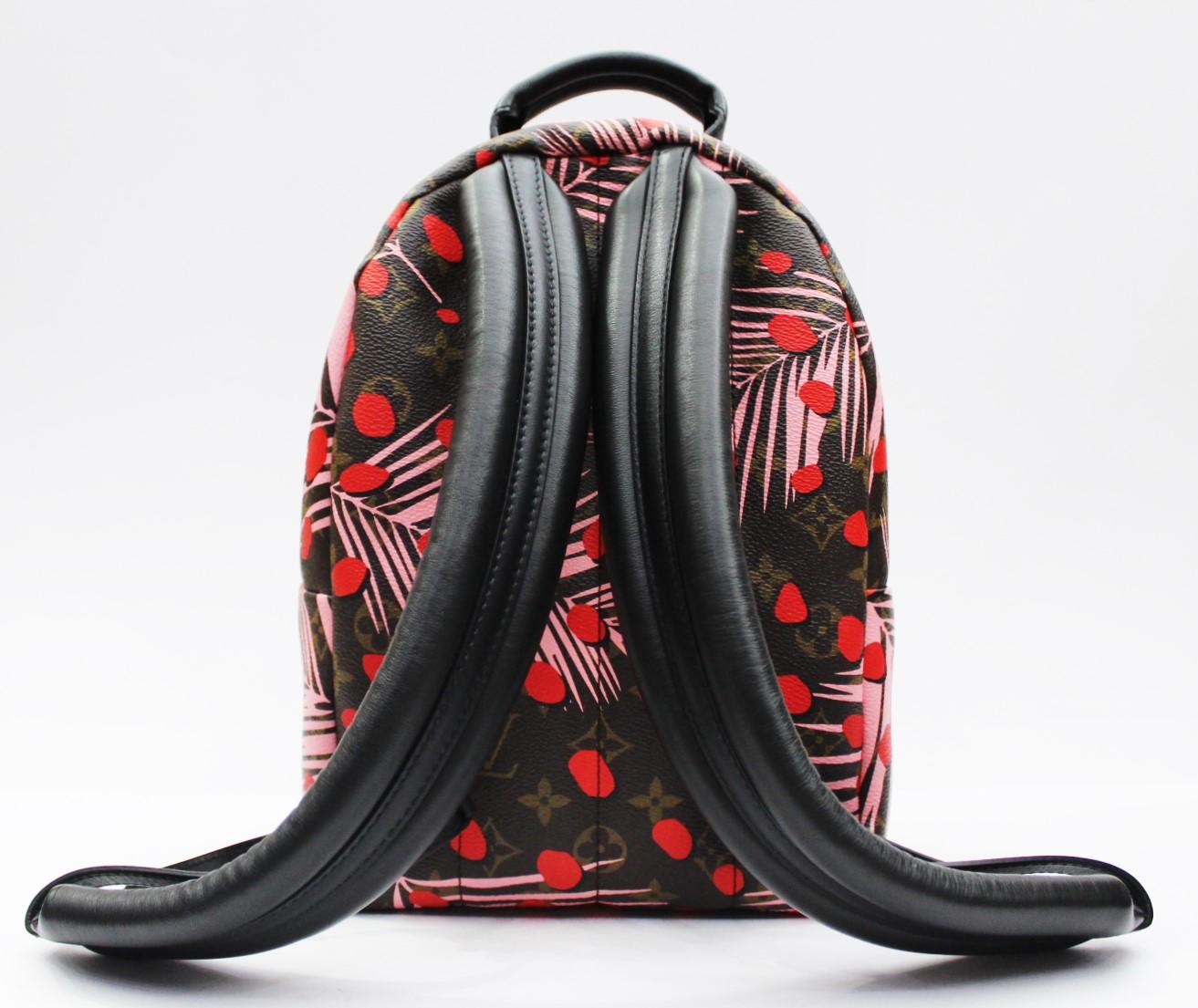 This adorable backpack from LV is from the Spring/Sumer 2016 collection and is ideal for city dwellers. It features a silk-screened red spots and pink palms, inspired by the palm trees of Southern California. The bag is a function as well as stylish