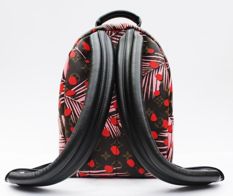 Louis Vuitton Palm Springs Backpack Mini Dupe Amazon Seller