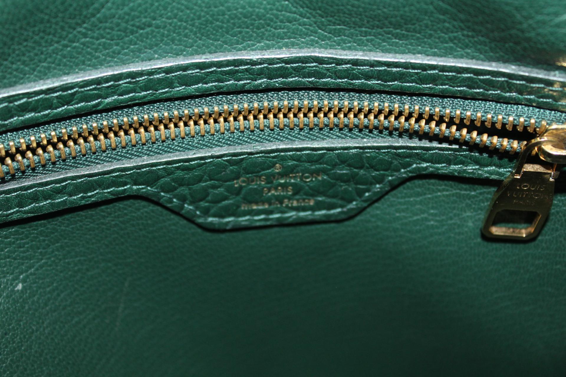 Louis Vuitton Majestueux Exotique Leather 2