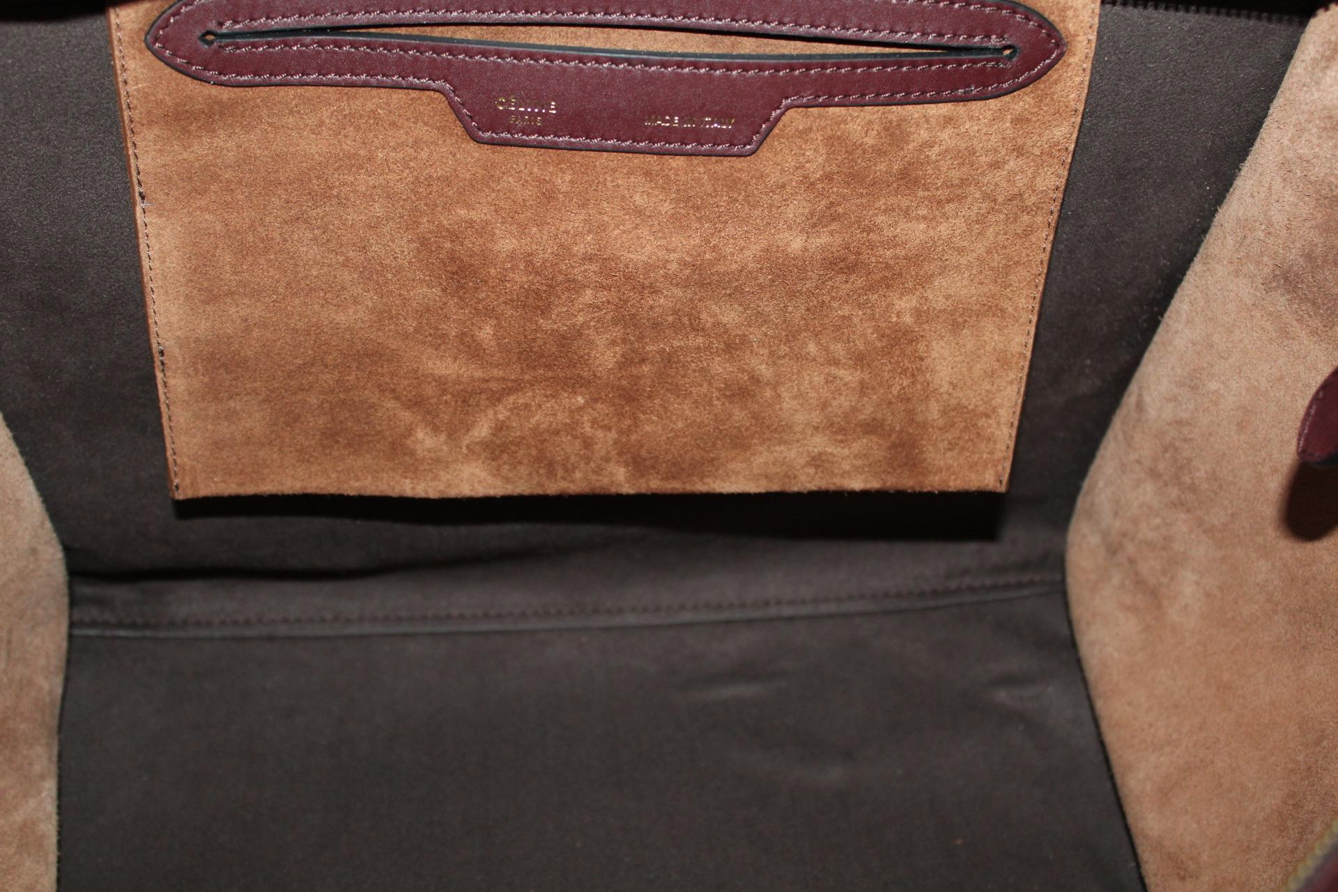 Cèline Tri-color Leather Trapeze Bag 3