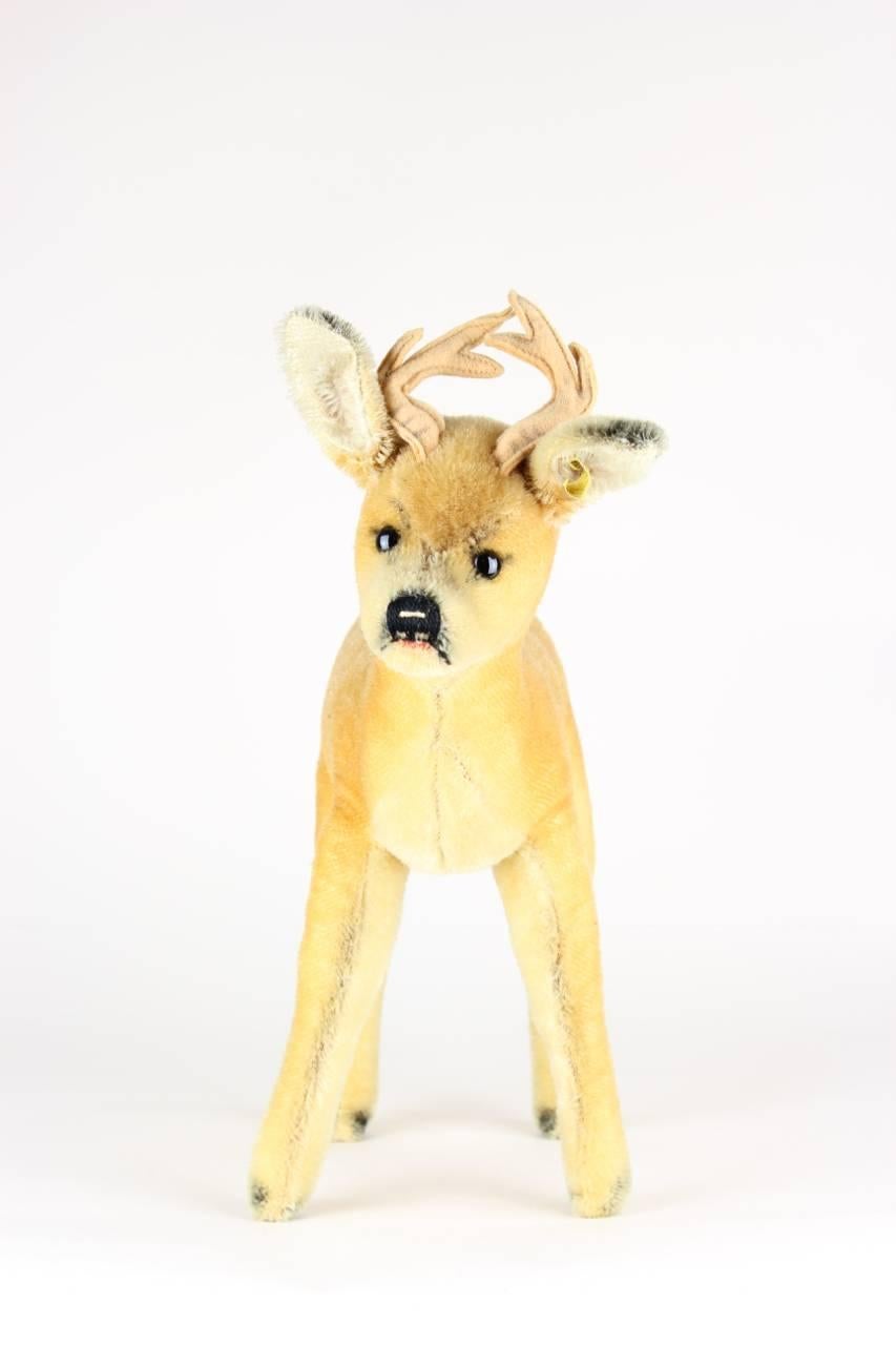 This beautiful large Steiff roebuck is stuffed with excelsior and covered in light brown mohair with airbrushed details. He features felt antlers, black glass eyes and a hand embroidered nose and mouth. The original "Button in Ear", i.e.