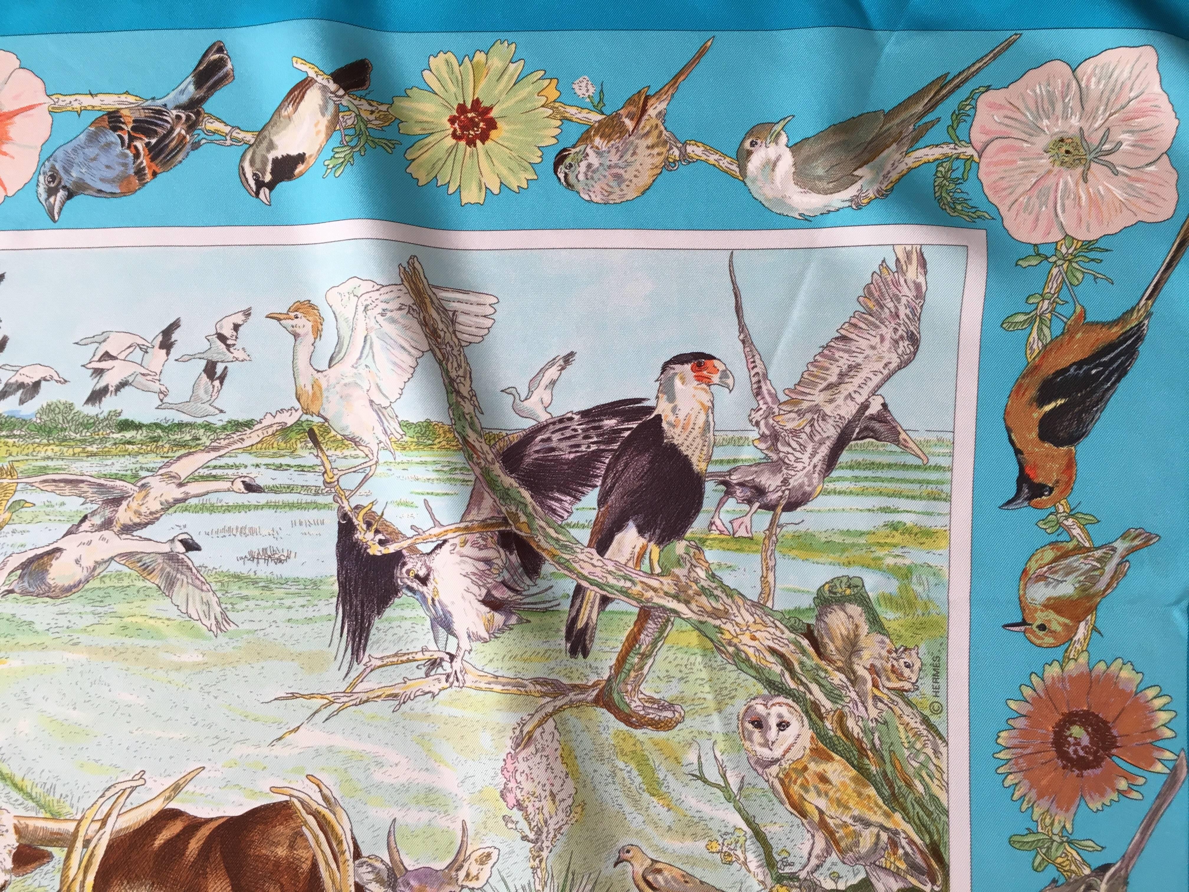 hermes texas scarf