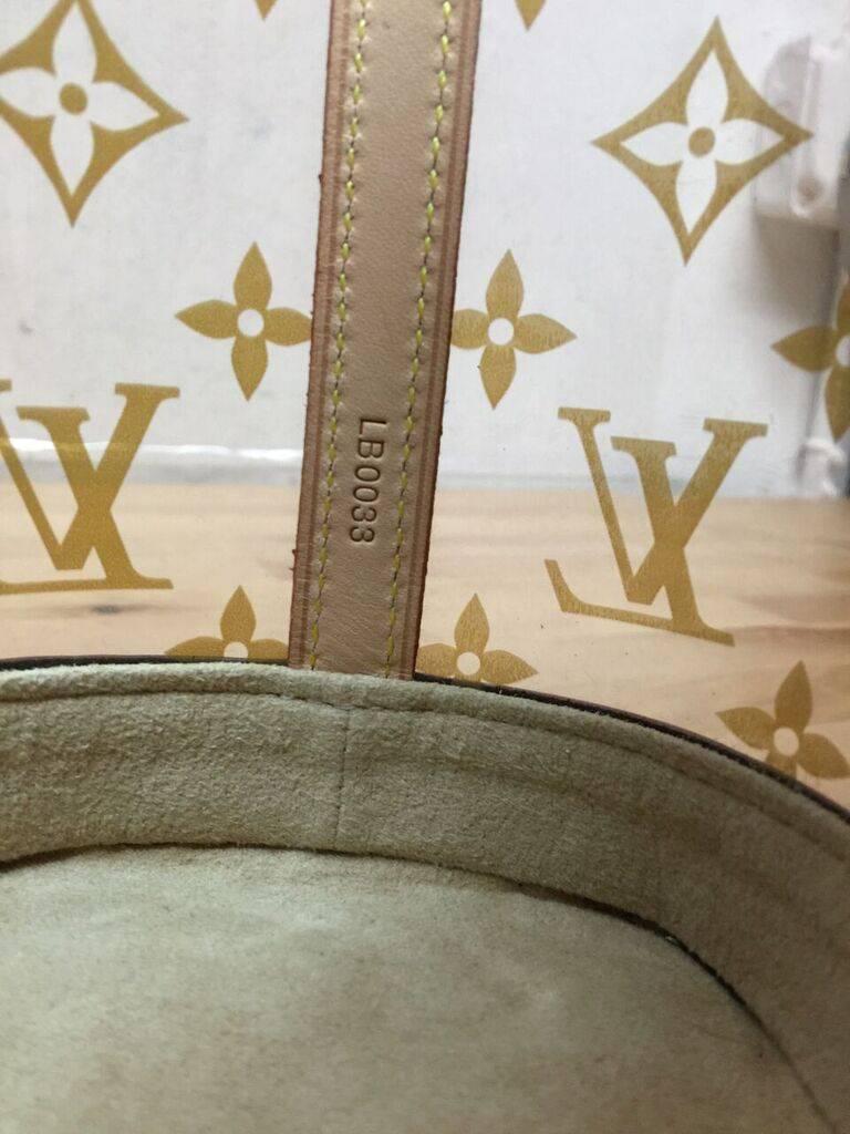 Louis Vuitton Sac Ambre Monogram Vinyl PM 3