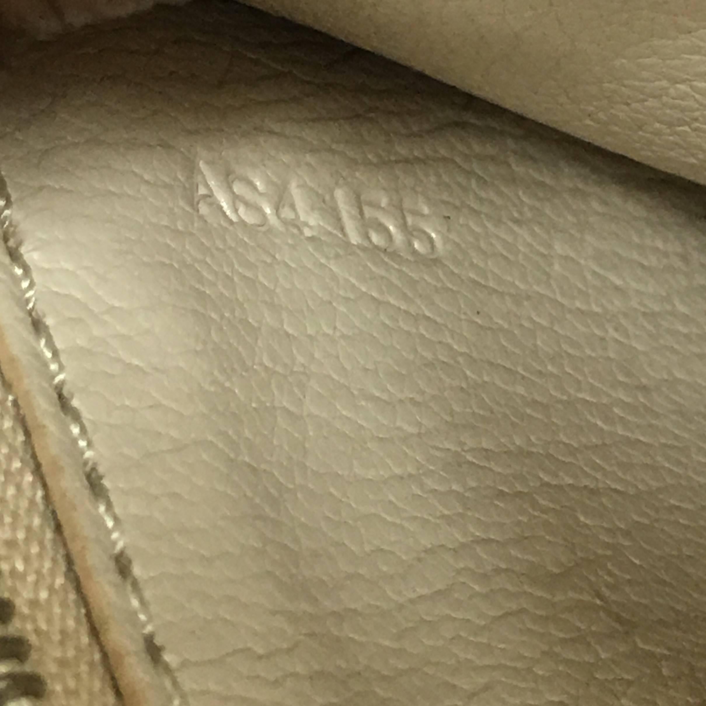 Women's or Men's Louis Vuitton Chain Louise Clutch Python GM