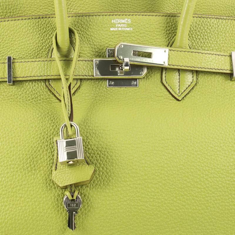 Hermes Birkin Handbag Vert Anis Togo with Palladium Hardware 35 1