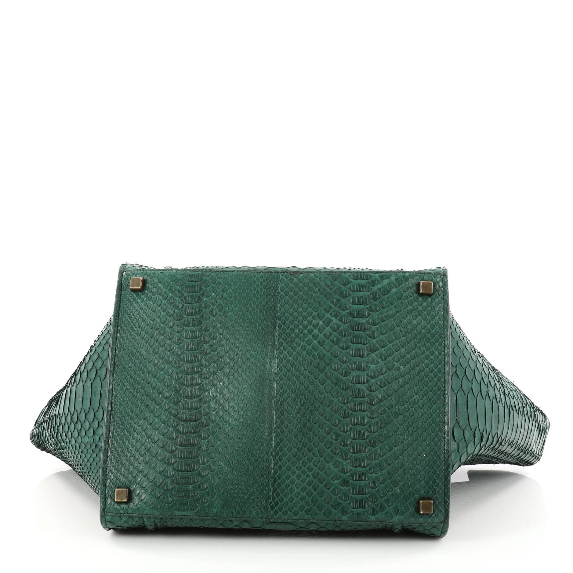 Celine Phantom Handbag Python Medium  In Good Condition In NY, NY