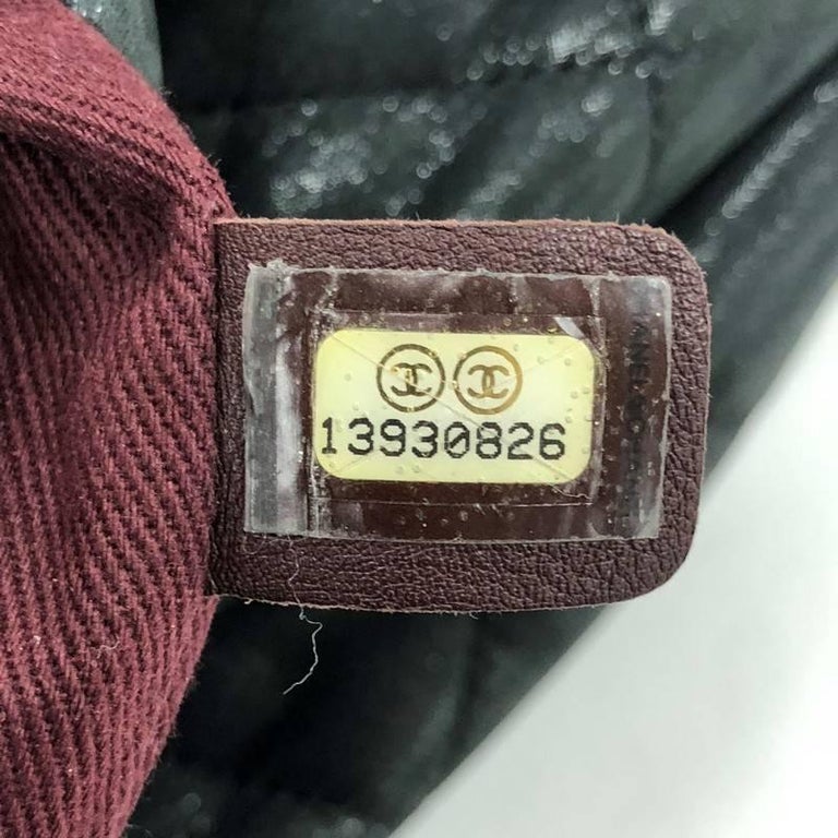 Chanel Quilted Iridescent Calfskin With Glazed Calfskin In the Mix Flap