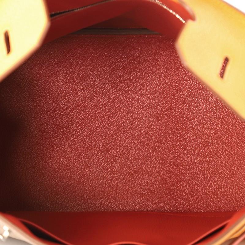 Hermes Birkin Handbag Tricolor Clemence & Swift w/ Brushed Palladium Hardware 35 2