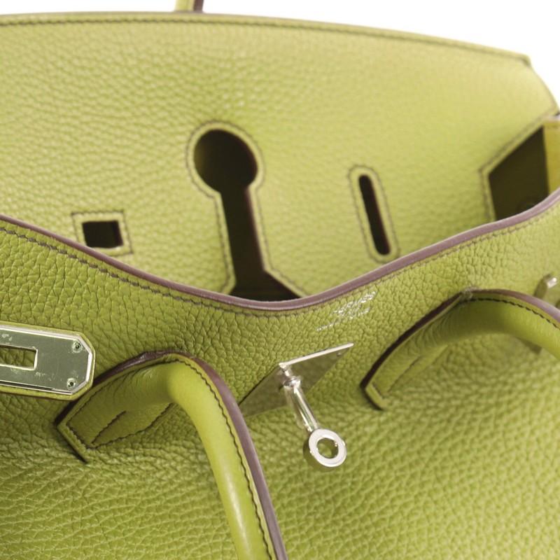 Hermes Birkin Handbag Vert Anis Togo with Palladium Hardware 35 3