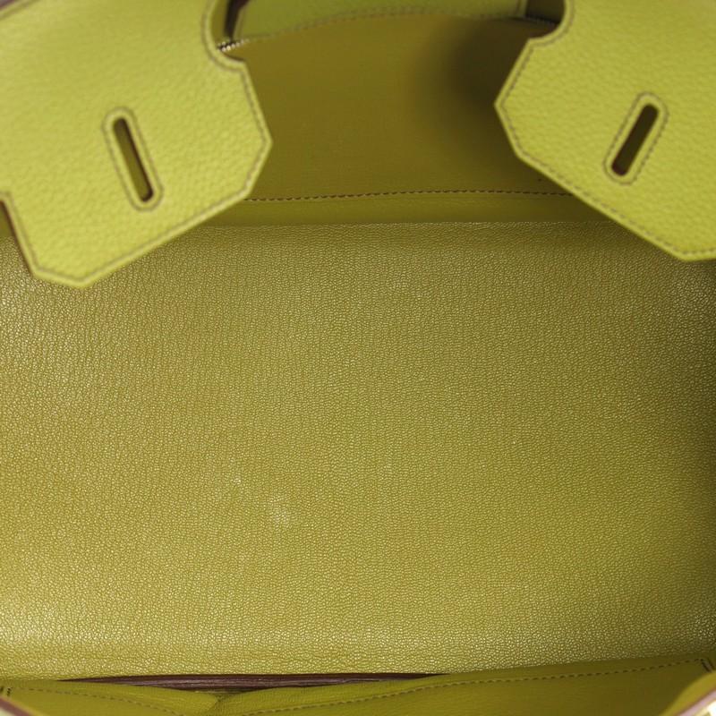 Hermes Birkin Handbag Vert Anis Togo with Palladium Hardware 35 4