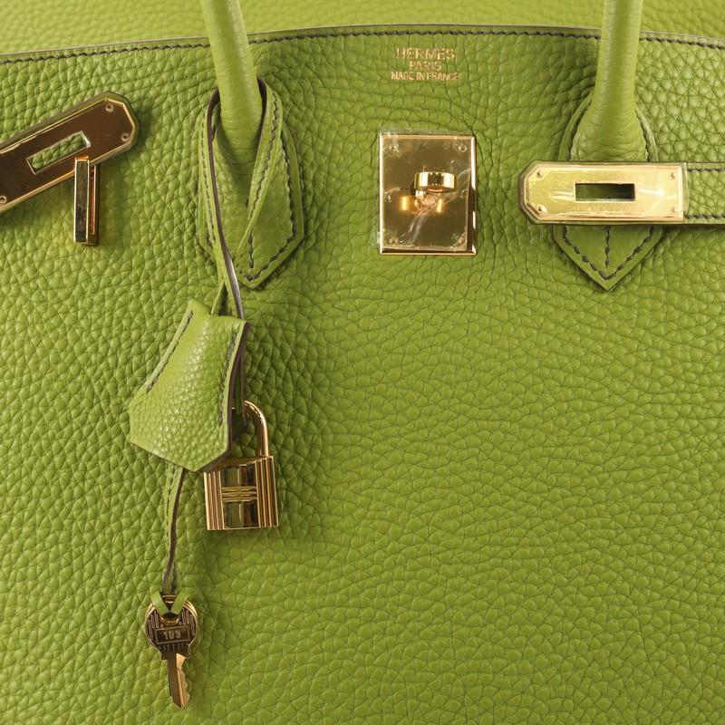 Hermes Birkin Handbag Vert Anis Togo with Gold Hardware 35 1