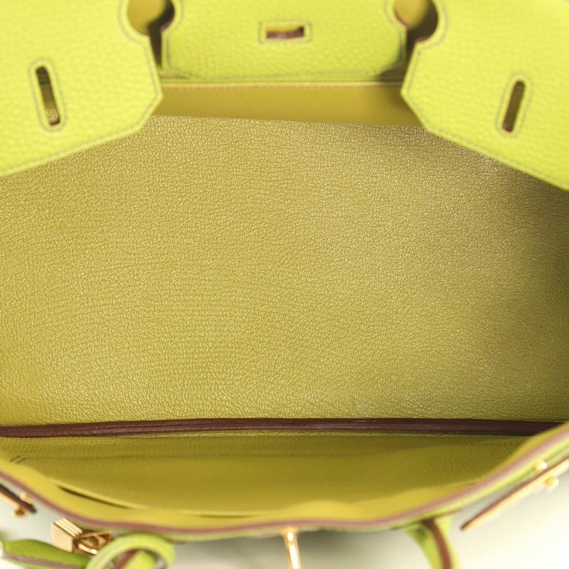 Hermes Birkin Handbag Vert Anis Togo with Gold Hardware 35 2