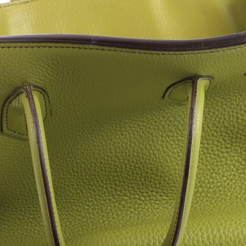 Hermes Birkin Handbag Vert Anis Togo with Palladium Hardware 30 2
