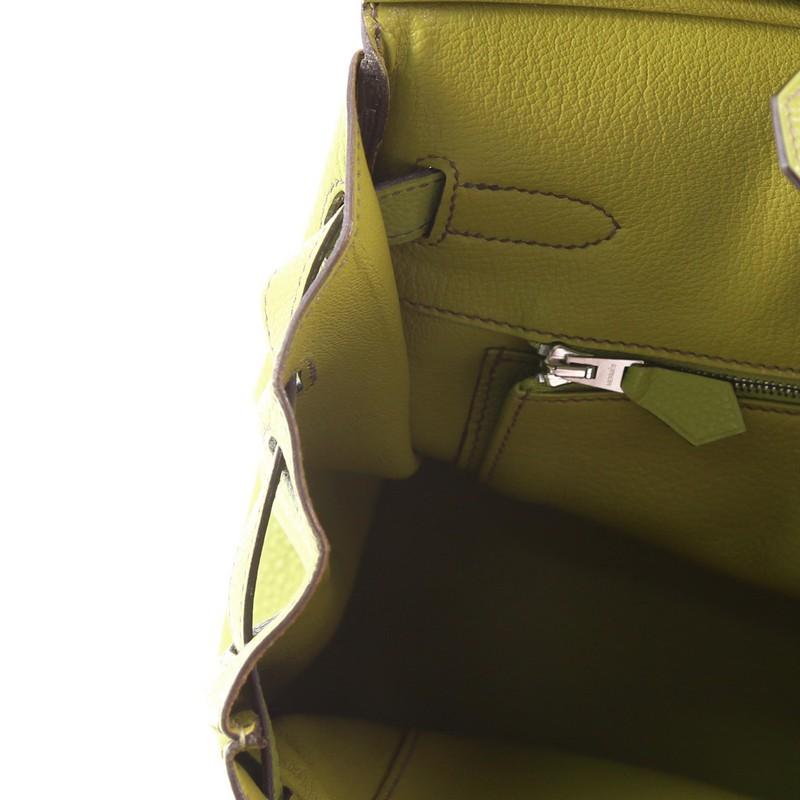 Hermes Birkin Handbag Vert Anis Togo with Palladium Hardware 30 3