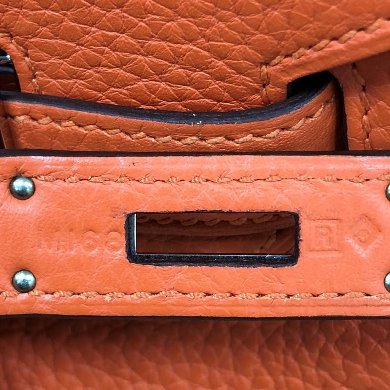Hermes Birkin Handbag Orange Clemence with Palladium Hardware 30 3