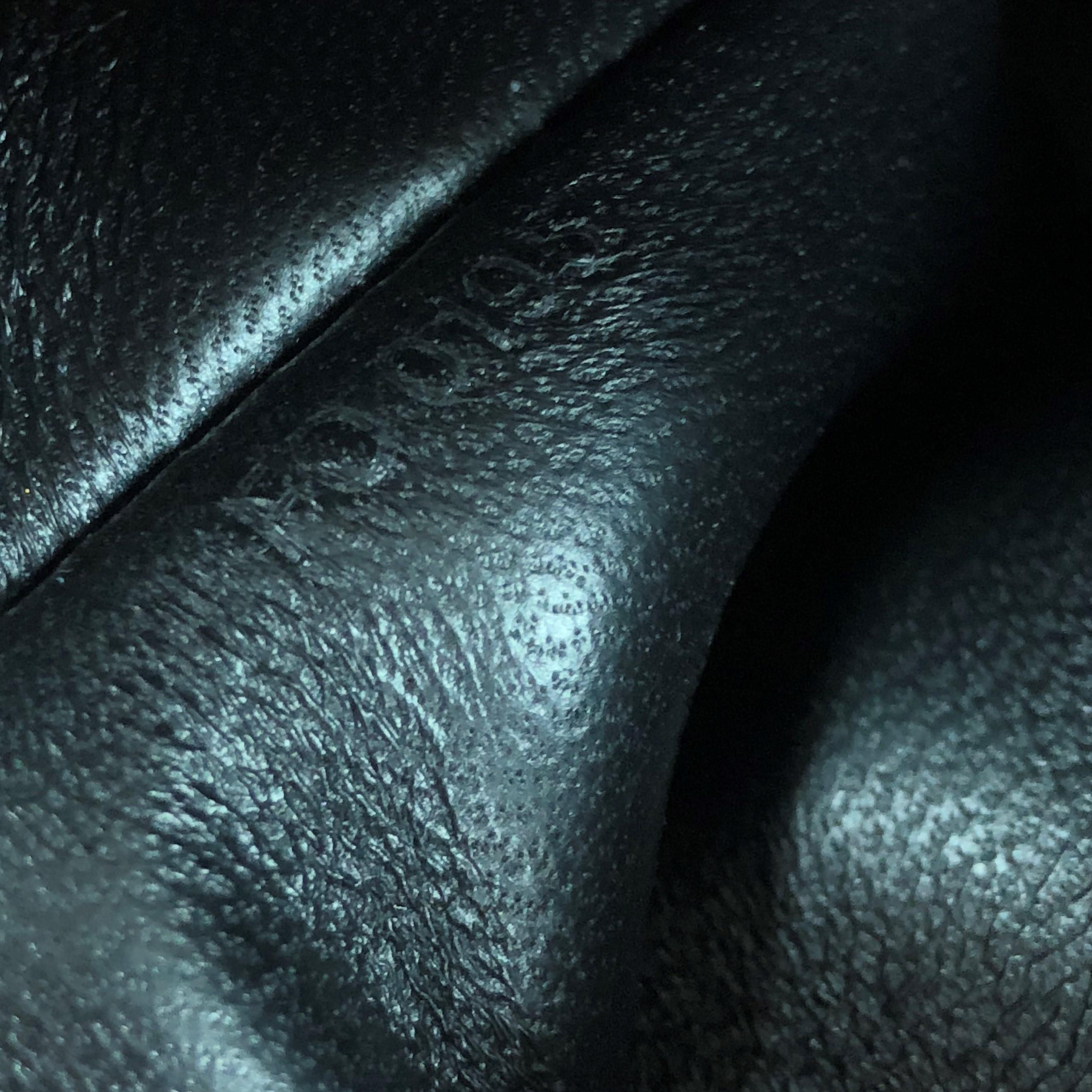 Louis Vuitton Alma Handbag Malletage Leather PM  2