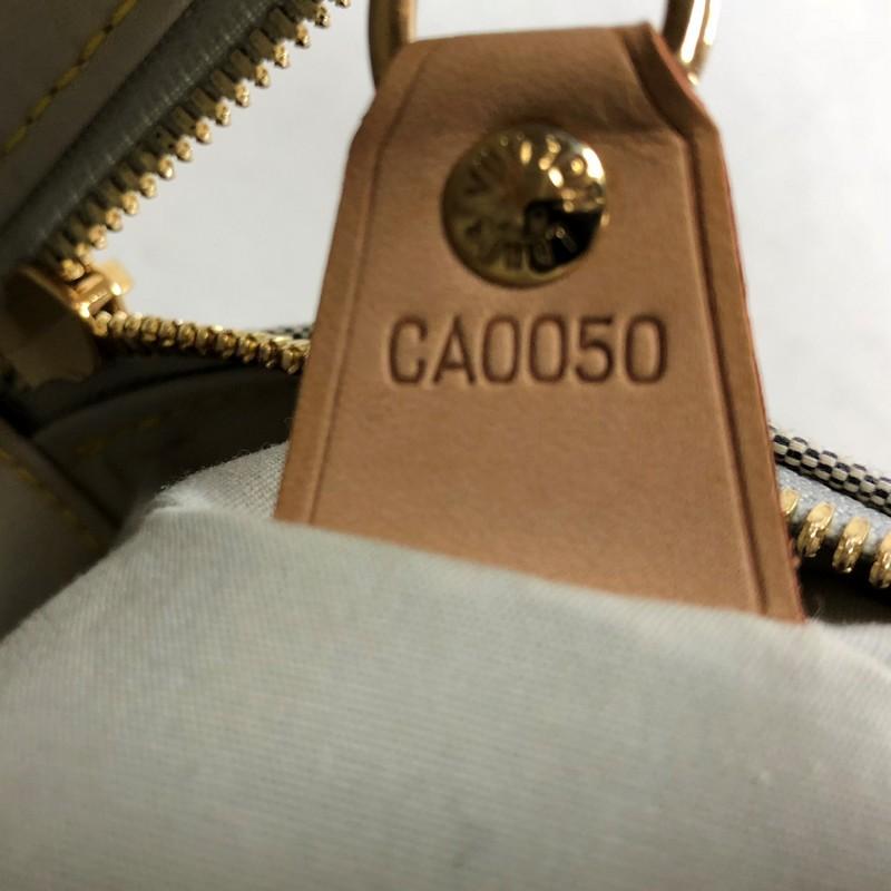 Louis Vuitton Marie Mini Lin Handbag  5