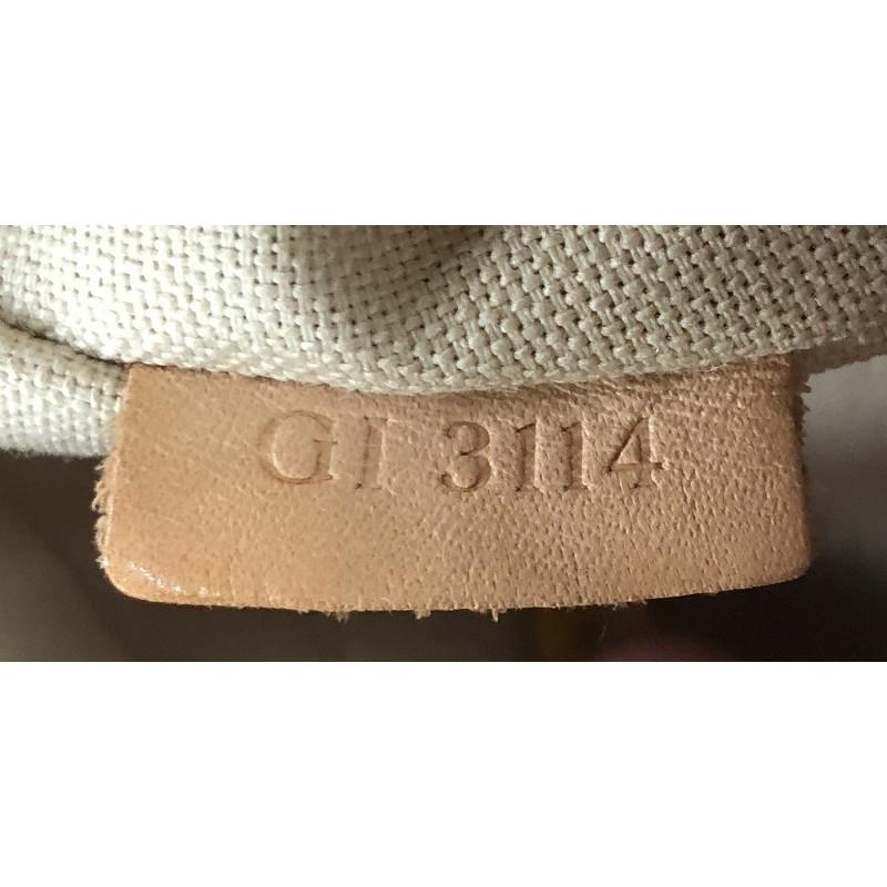 Louis Vuitton Siracusa Handbag Damier PM  5