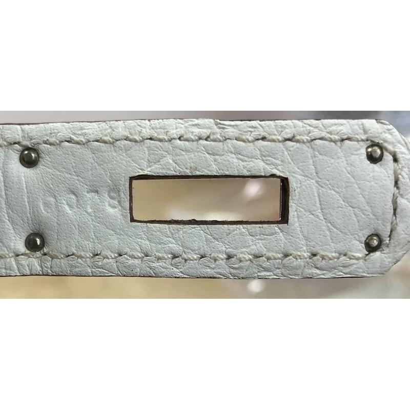Hermes Eclat Birkin Handbag Clemence with Palladium Hardware 35 4