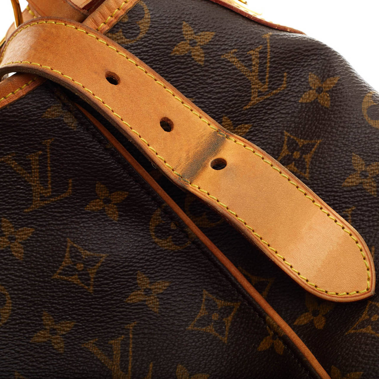 Louis Vuitton Galliera Monogram Canvas PM 4