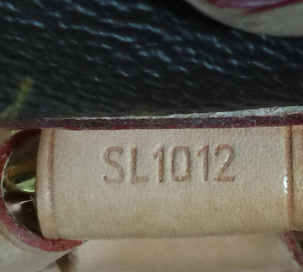 Louis Vuitton Dog Carrier Monogram Canvas 50 3