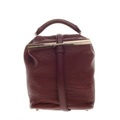 Alexander Wang Willow Frame Messenger Bag Pebbled leather