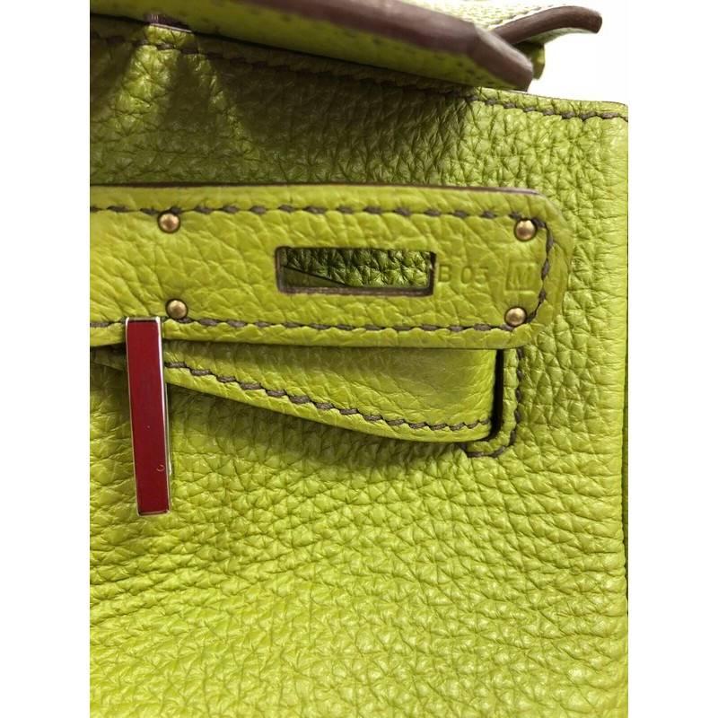 Hermes Birkin Handbag Vert Anis Togo with Palladium Hardware 35 5