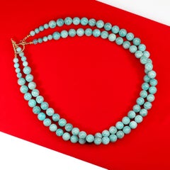 AJD 19 Inch Elegant Amazonite Two Strand Necklace Summer Perfect