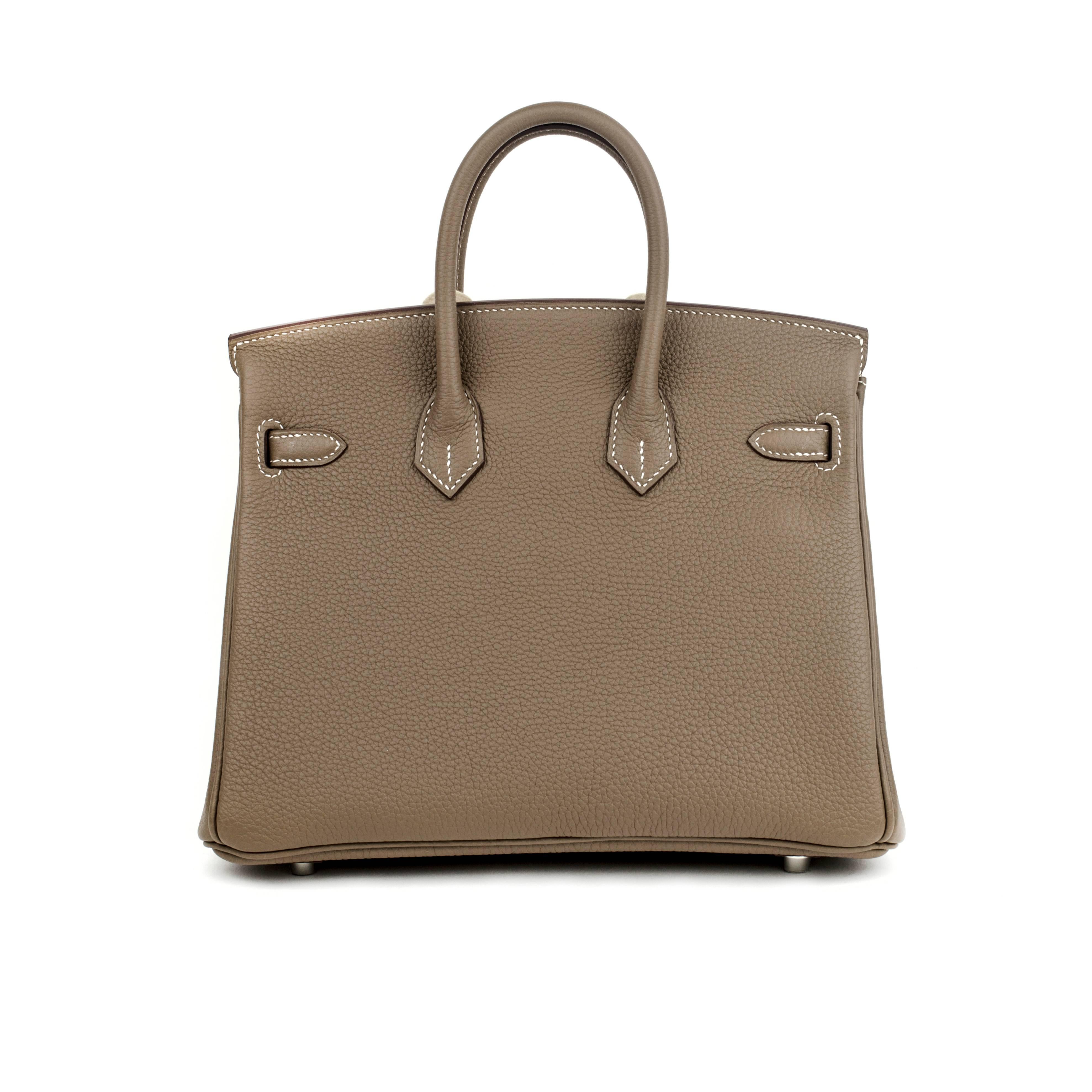 birkin 25 silver hardware