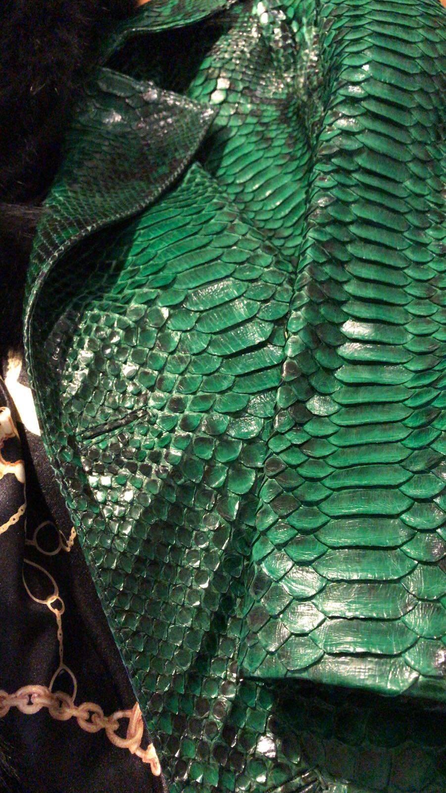 Ana Switzerland Green Python long coat For Sale 1