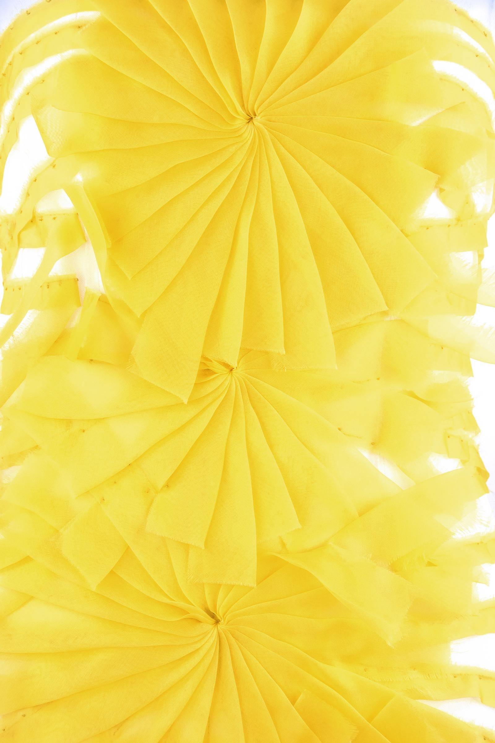 Women's Angel Sanchez Sheer & Yellow Organza Dress - Size 2 For Sale
