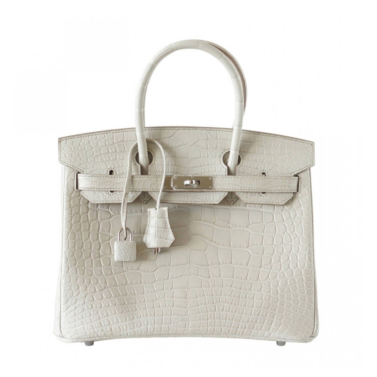 Birkin 30 Beton Matte Alligator