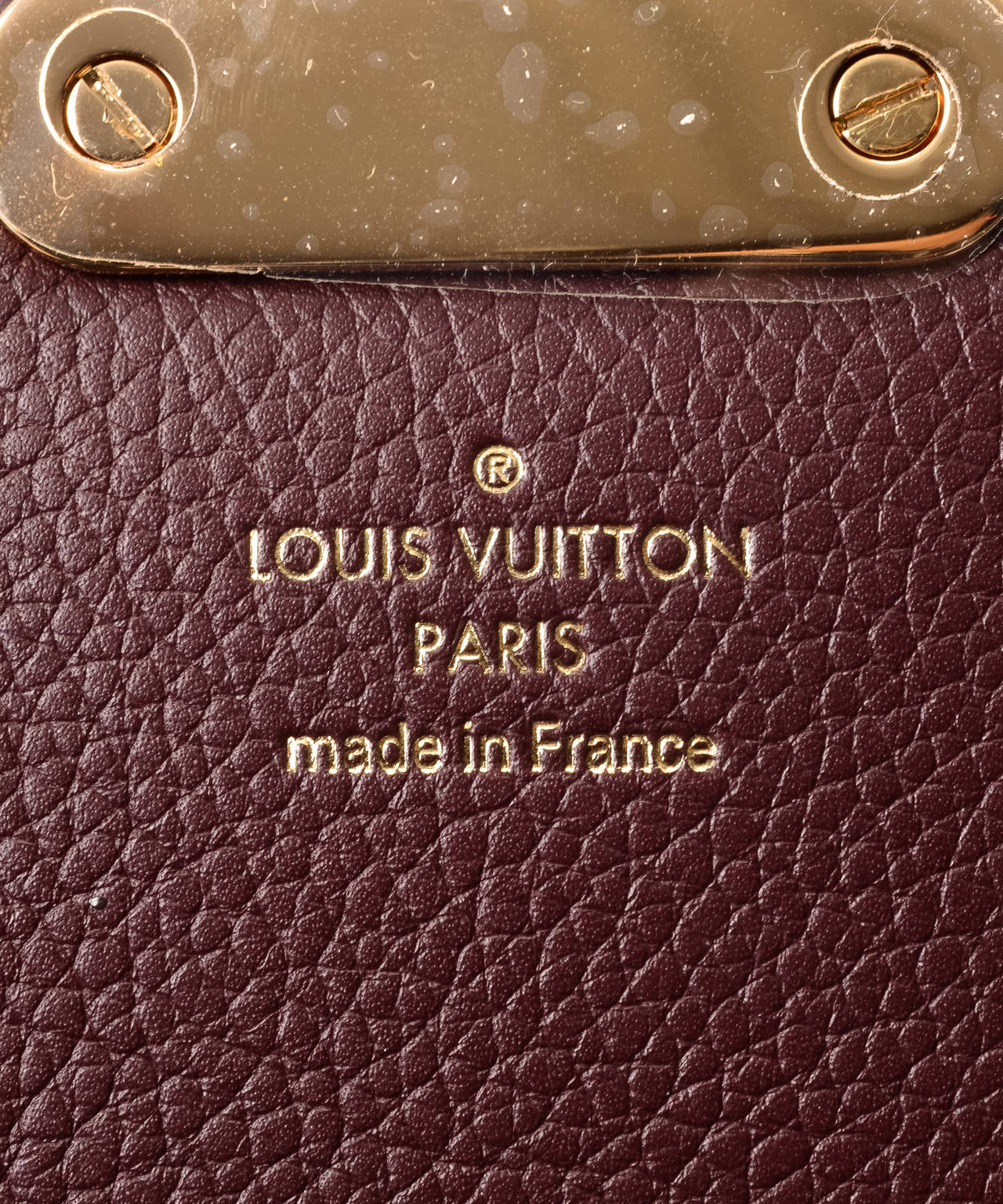 Louis Vuitton Monogram Eden PM 3